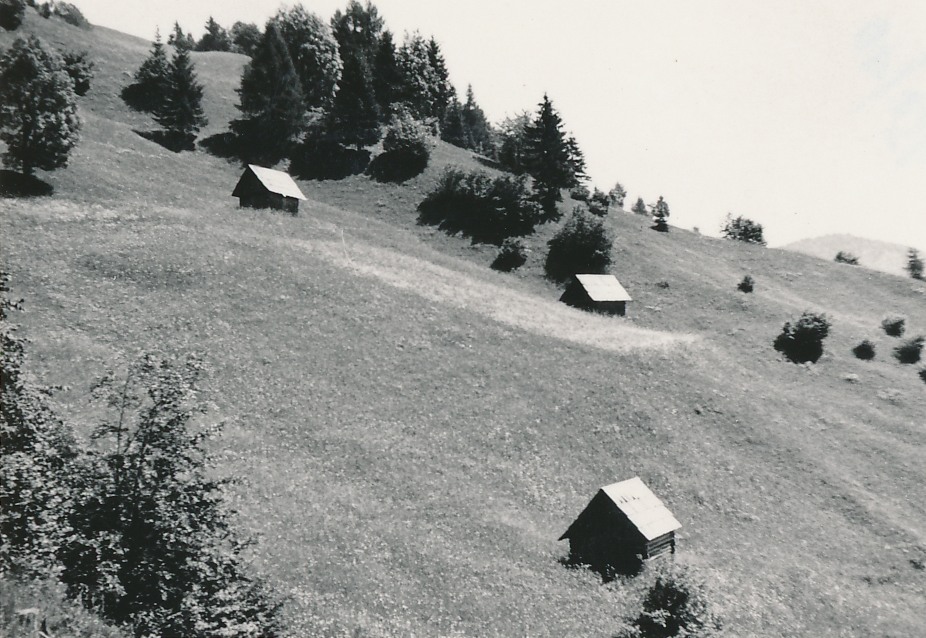 eika image